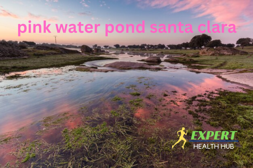 pink-water-pond-santa-clara-(1)