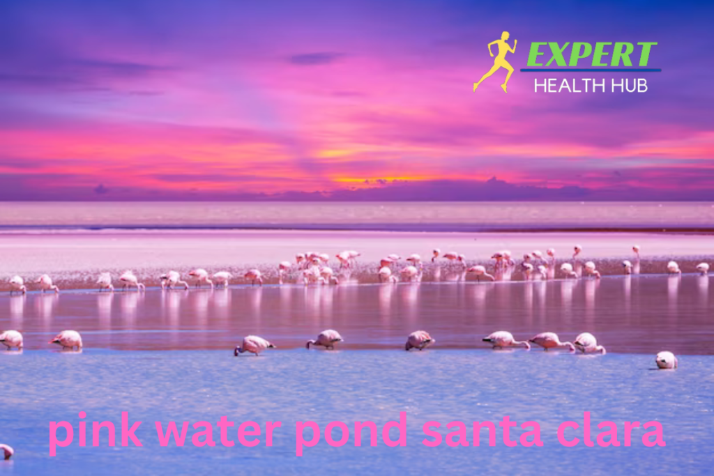 pink-water-pond-santa-clara-(2)