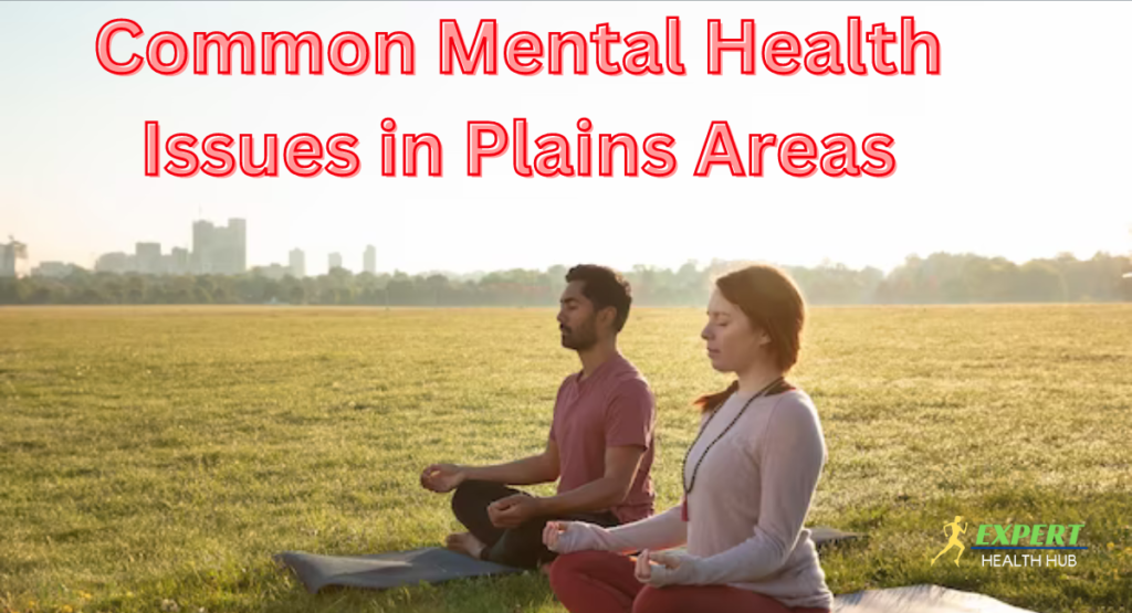 Plains-Area-Mental-Health: