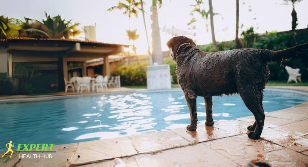 Spa Vibes Without the Splurge!