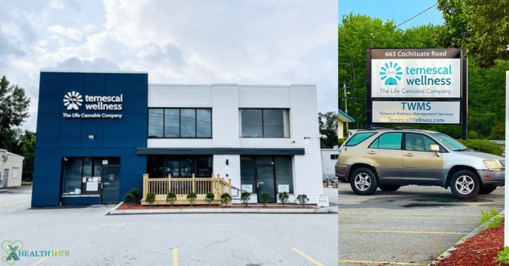 A Sojourn Through Temescal Wellness Framingham