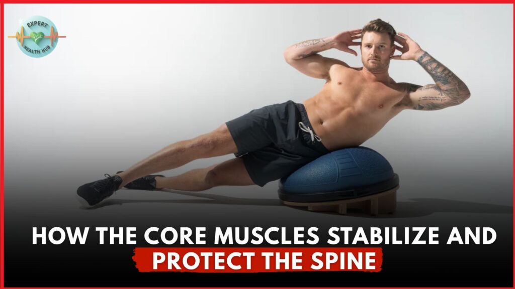How The Core Muscles Stabilize and Protect the Spine