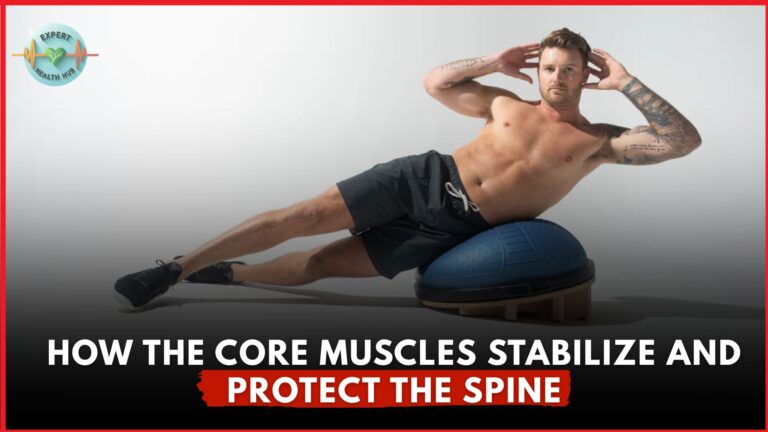 How The Core Muscles Stabilize and Protect the Spine